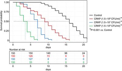 Evaluation of in vivo antibacterial drug efficacy using Caenorhabditiselegans infected with carbapenem-resistant Klebsiella pneumoniae as a model host
